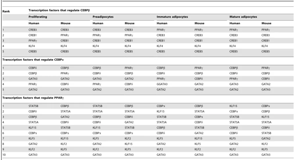 Table 3. Ranked importances of regulatory relationships between human and mouse adipogenesis.