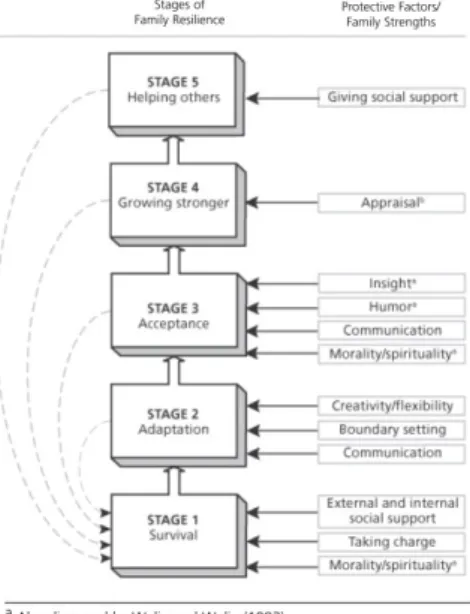 Figura  1  -  O  processo  de  resiliência  familiar,  retirado de Lietz (2007, p.149).