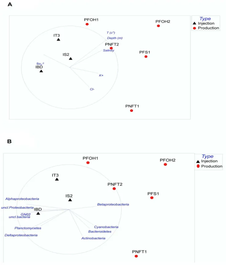 Figure 2. Nonmetric multidimensional scaling plot showing the relationship between the different environmental parameters (A)/
