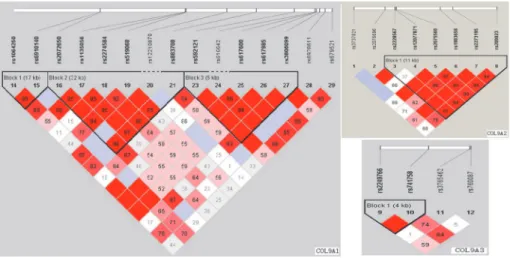 Fig 1. The haplotype blocks of the three studied genes: COL9A1, COL9A2 and COL9A3. The numbers indicate the extent of linkage disequilibrium based on D ’ value between 2 SNPs calculated with Haploview 4.2