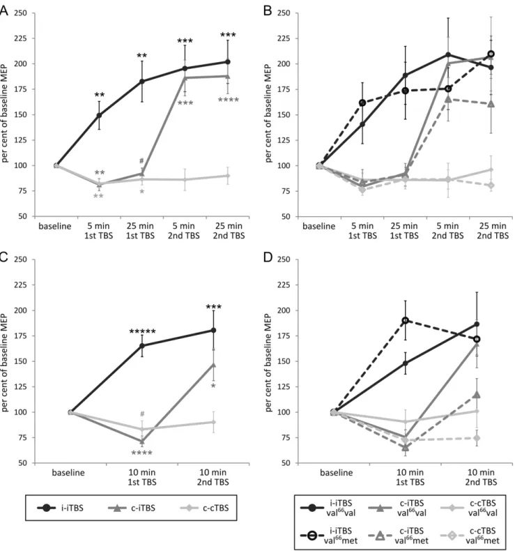 Figure 2. Effects of the three TBS-TBS protocols and BDNF polymorphism on corticospinal excitability over time: (A) MEP bi amplitude independent of polymorphism, (B) MEP bi amplitude divided by polymorphism, (C) MEP mo amplitude independent of polymorphism
