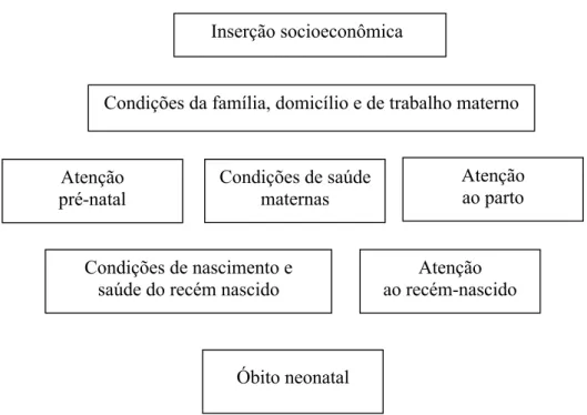 Figura 1 - Modelo de análise do óbito neonatal Figure 1 - Neonatal deaths analysis model