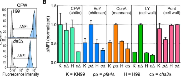 Fig 3. Exposure of cell surface components is altered in pfa4 Δ cells. (A) Example of flow cytometry profiles used to assess the exposure/accessibility of cell wall components