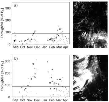 Fig. 3. Temporal patterns of throughfall percentages of incident rainfall for two collectors standing only 5 m apart from each other.