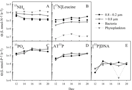 Fig. 5. Biomass-specific affinity (logarithmic scale) for the uptake of (A) NH + 4 , (B) Leucine-N, (C) PO 3− 4 , (D) ATP-P, and (E) dDNA-P in the two size fractions (solid lines), and in bacteria and phytoplankton after correcting for particle-associated 