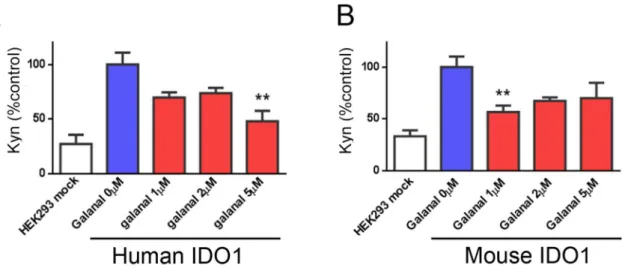 Figure 2. Effect of galanal on IDO1 activity in different cell species. HEK 293 cells transfected with human IDO1 (A) or mouse IDO1 (B) were treated with various concentrations (1-5 mM) of galanal for 48 hrs