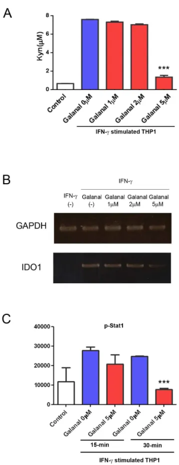 Figure 5. Inhibition by galanal of the IFN-c dependent pathway. (A) L-Kyn formation in IFN-c (100U)-treated THP-1 cells with and without various concentrations (1-5 mM) of galanal
