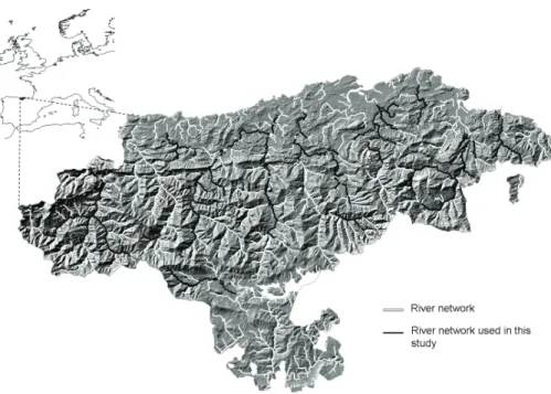 Fig. 1. River network of the Cantabrian region, Northern Spain. White river lines cover the extent of the whole Cantabrian river network and black lines the river network used in this study.