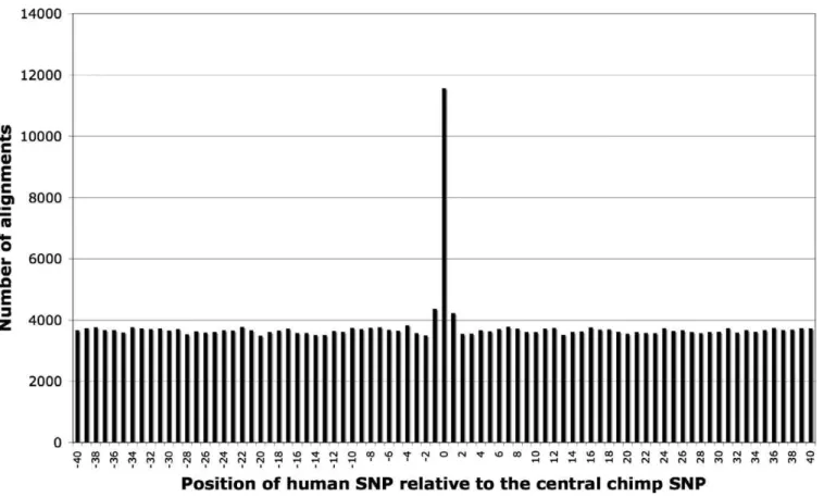 Figure 1. The Number of Human SNPs at Each Site of the Human–Chimpanzee Alignments Used in the Analysis doi:10.1371/journal.pbio.1000027.g001