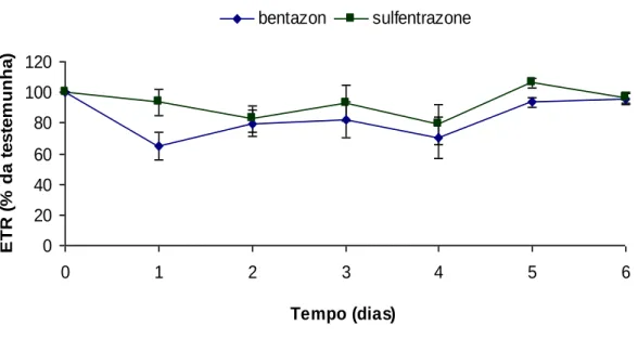 Figura 3. Relação entre o ETR (expressos em porcentagem da testemunha) e o tempo (dias)  para mogno africano após aplicação de sulfentrazone e bentazon