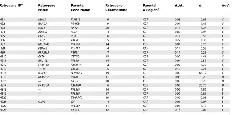Table 2. Human X-Derived Retrogenes