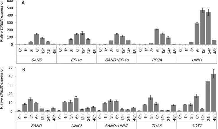 Figure 5. Relative quantification of DREB1 and DREB2 expression using validated reference genes for normalization