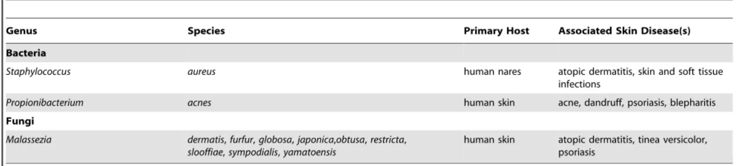 Table 1. Skin microbes discussed and their associated skin diseases.