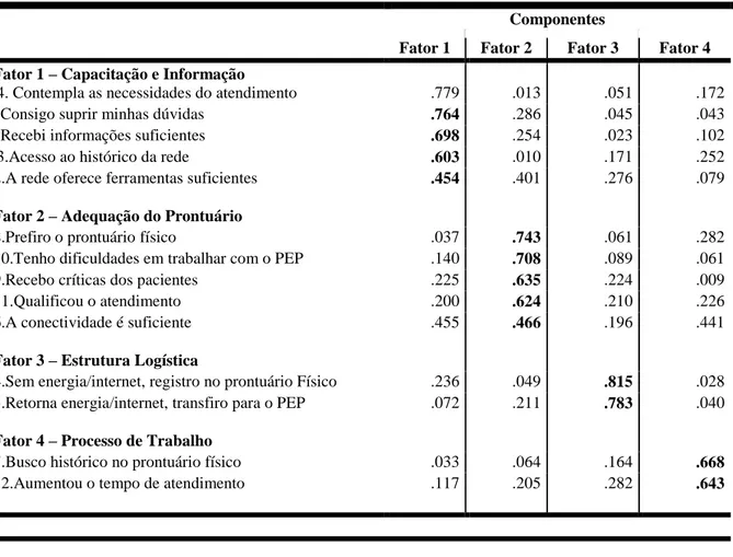 Tabela 3: Distribuição das cargas fatoriais de cada uma das afirmativas do instrumento de pesquisa, de acordo  com os quatro fatores extraídos na análise fatorial exploratória para a amostra estudada
