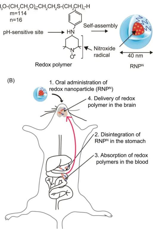 Fig 1. Concept of orally administered redox polymer nanotherapeutics for treatment of the
