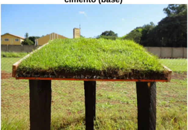 Figura 4 - Protótipo do telhado com vegetação  (grama) e uma mistura de isopor triturado com 