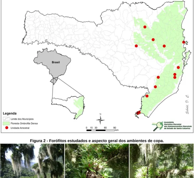 Figura 1 - Localização das unidades amostrais no Estado de Santa Catarina, Floresta Ombrófila Densa.