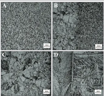 Figure  3  is  a  light  optical  micrograph  of  the  orbital  GTAW,  showing  the  variation  in  the  microstructure  moving from the unaffected base metal through the HAZ 