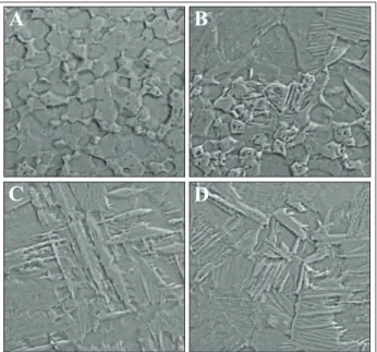 Figure 4:  Scanning  electron  micrographs  of  the  regions  of  Orbital  GTAW.  #A  welding  program