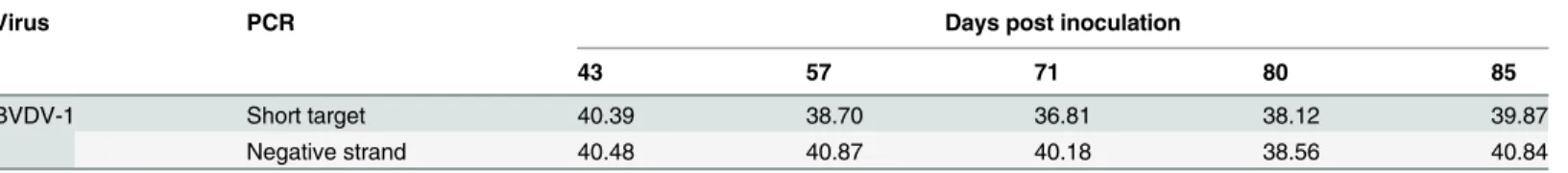 Table 2. Ct values for short target and negative strand RT-PCR.