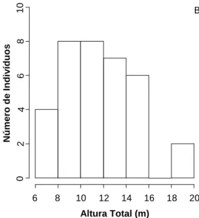 Figura 2 – Distribuição dos indivíduos de Ocotea silvestris em (A) classes de diâmetro e (B) classes  de altura