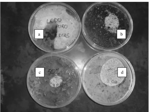 Figura 4 - Placas de Petry – três dias de desinfecção, (a) amostra controle, (b) amostra com 30% de  cal, (c) amostra com 50% de cal e (d) amostra com 100% de cal 