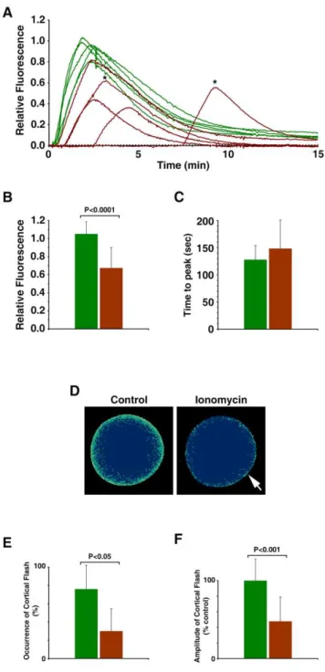 Figure 7. Fertilization of the ionomycin-pretreated eggs with altered cortical structure