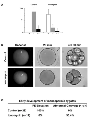 Figure 9. Fertilization and the early development of the ionomycin-pretreated eggs. (A) Astropecten aranciacus oocytes were pretreated with 5 mM ionomycin at the GV stage and matured with 1-MA for 1 h