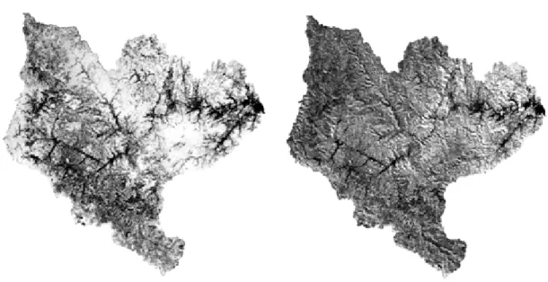 Figura 4 - Imagens dos índices NDVI (a) e EVI (b) da bacia do Itajaí, geradas a partir de dados MODIS -   13 de 2005