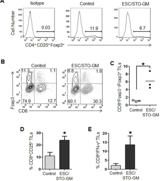 Figure 5. ESC vaccination increases the ratio of effector CD8 + T cells to T regs in the tumor
