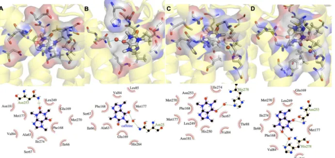 Fig 2. CFF ’ s most populated binding poses in systems I-III (A-D). For each binding pose, the upper panel shows the protein backbone in yellow cartoon, CFF and residues interacting with CFF in thick and thin sticks, respectively