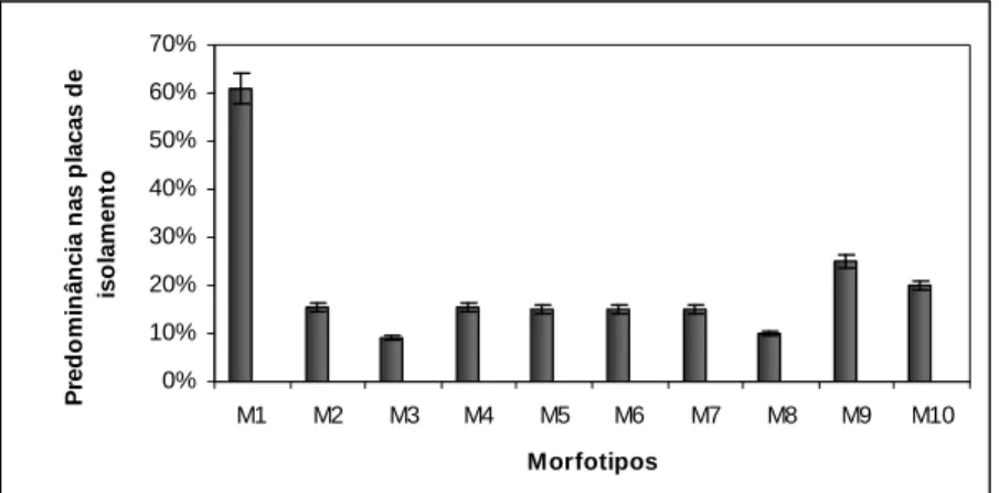 Figura 2 - Predominância dos morfotipos isolados da amostra incubada por 7 dias no meio de  enriquecimento