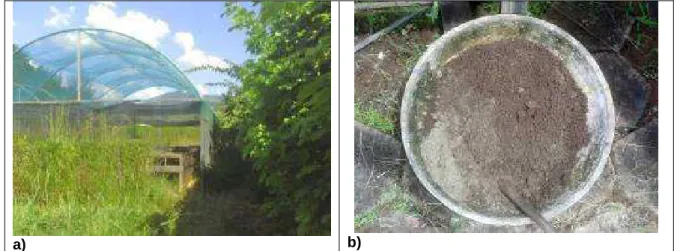 Figura 4 – a) Casa de vegetação,  b) Preparo de substrato. 