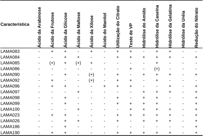 Tabela 5 – Características bioquímicas das linhagens estudadas que apresentaram atividade antimicrobiana