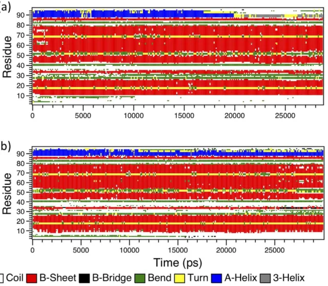 Figure 4. The secondary structure profile calculated using DSSP [22] for the initial 30 ns of the two simulations of monomeric PR a) in 9 M AcOH and b) in water.