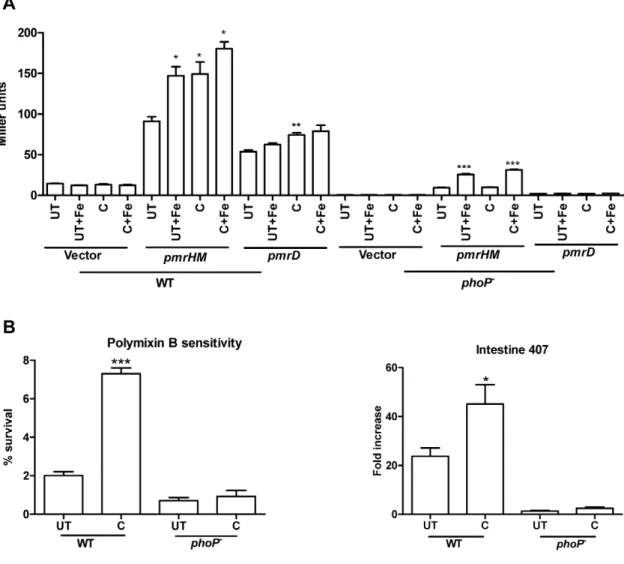 Figure 6. Regulation of pmr genes by curcumin to improve resistance of bacteria against AMPs