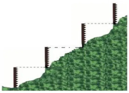 Figura 5 - Nivelamento das réguas 