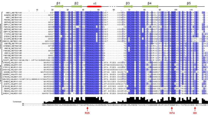 Figure S1 Protocol used for the modeling of DNA-MC1 complexes. The three successive steps used are from left to right: