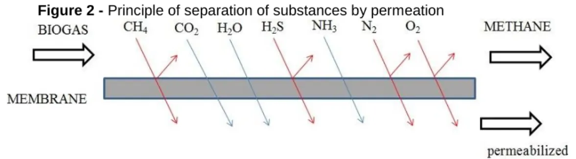 Figure 2 - Principle of separation of substances by permeation 