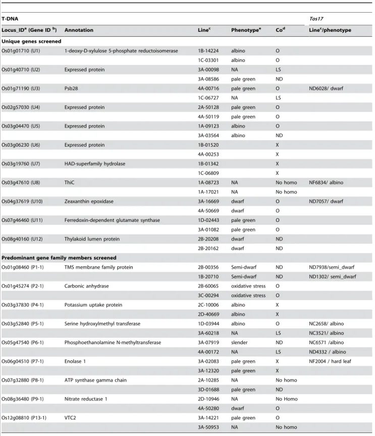 Table 2. Summary of Screen for Phenotypes Associated with 20 Candidate Genes Showing at least 8-Fold Induction in the Light.