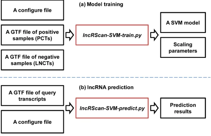 Fig 1. lncRScan-SVM. (a) Model training. A GTF file of positive samples, a GTF file of negative samples and a configure file are input to lncRScan-SVM- lncRScan-SVM-train.py for training a SVM model and getting scaling parameters