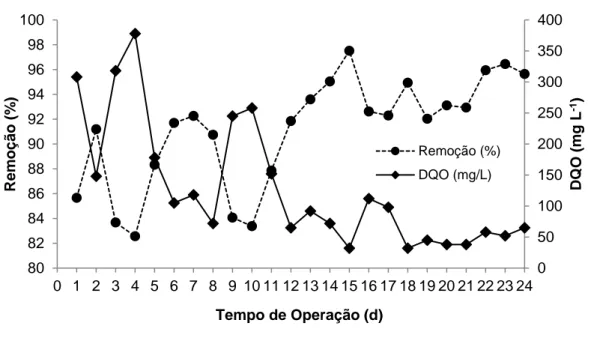 Figura 2 - Valores e percentuais de DQO no efluente final tratado 