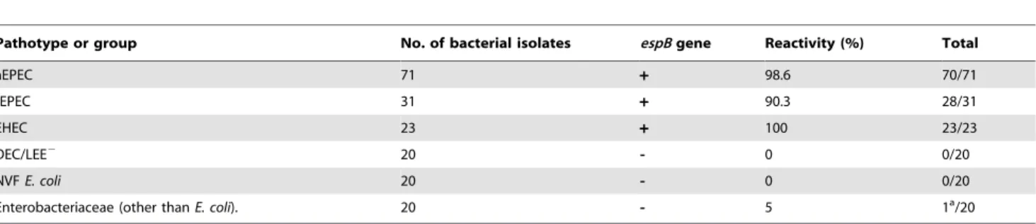 Table 1. Rapid agglutination latex test reactivity (%) with bacterial isolates.