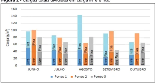 Figura 2 - Cargas totais divididas em carga livre e fixa 