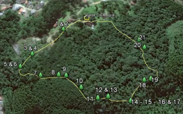 Figure  1. Map  of  the  trees  numbered  in  the  trail  of  the  “Centro  Integrado  de  Estudos Multidisciplinares” (CIEM), Apiaí, São Paulo state, Brazil.