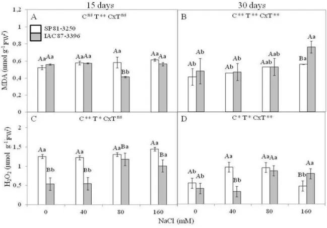 Figure 1. Lipid peroxidation in sugarcane young plants under salinity. A: MDA content at 15 days; B: MDA content at 30 days; C: H 2 O 2 content at 15 days; D: H 2 O 2 content at 30 days