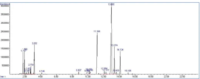 Figure 1. Typical chromatogram obtained by SPME-GC/MS from M. laevigata samples