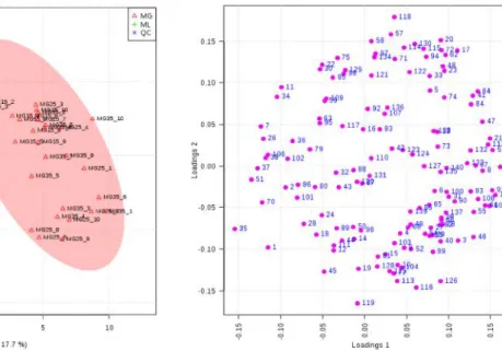 Figure 2. Principal Components Analysis of the main peak areas found in the GC–MS analysis of the temperature treatment samples (A) Scores plot (samples), M
