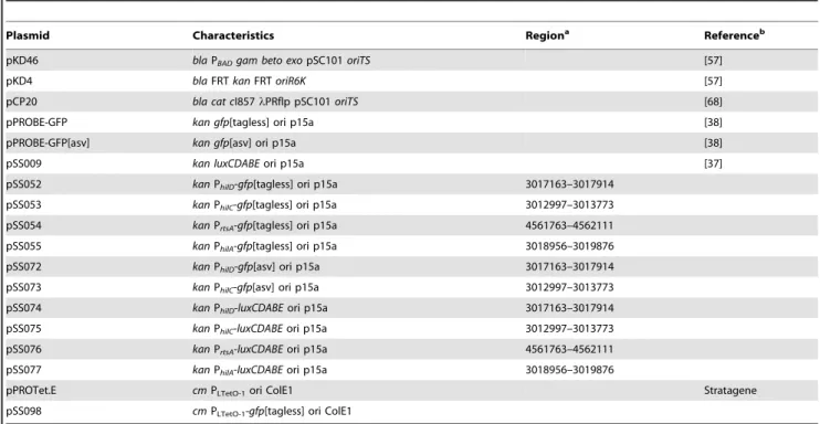Table 2. List of plasmids used in this study.