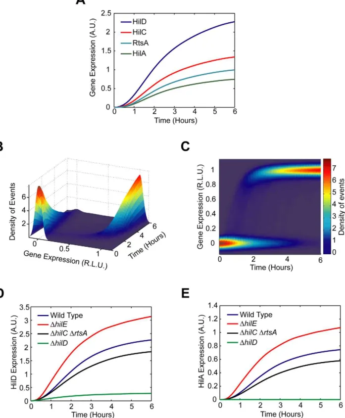 Figure 5. Mathematical model is able to accurately capture SPI1 gene expression dynamics both for wild type and key mutants